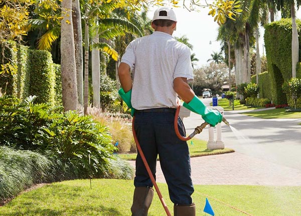 About Skipwith VA Pest Control